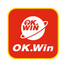 Open Collective Avatar for Ok win